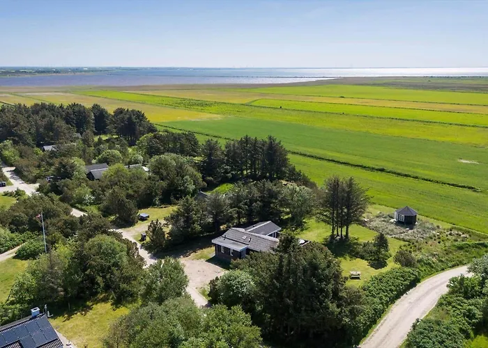 1155-ringkobing-fyrrekrat-2 Søndervig